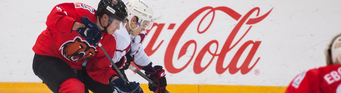 «Кузнецкие Медведи» 3:2 Б «Тюменский Легион»