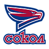 Сокол